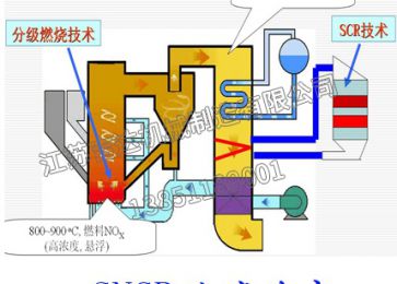 Selective Non - Catalytic Reduction Denitrification